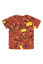 Treasure T-Shirt SS, Amber Orange 86-92cm